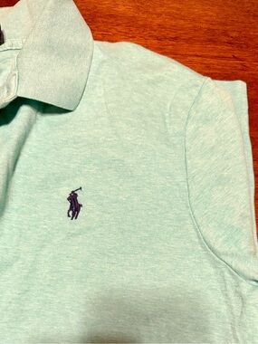 Ralph Lauren Mint Green Polo with Navy Logo